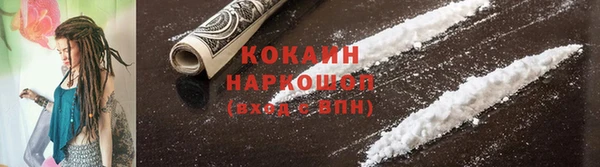 прущие крисы Белокуриха