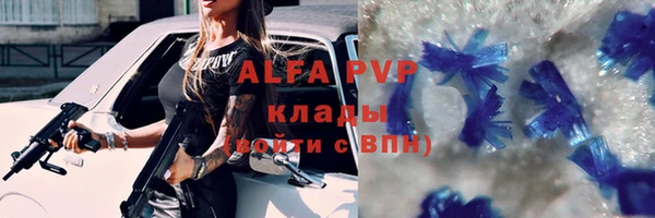 прущие крисы Белокуриха