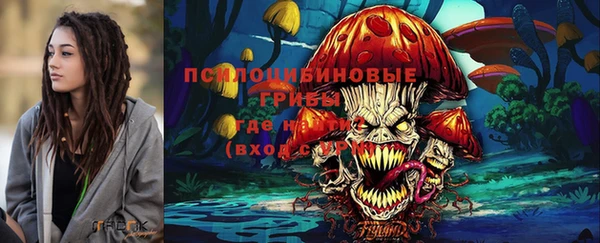 МДМА Беломорск